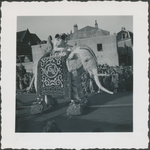 860048 Afbeelding van een rijdende 'kunstolifant' in een feestelijke optocht op de St. Jacobsstraat in Wijk C te ...
